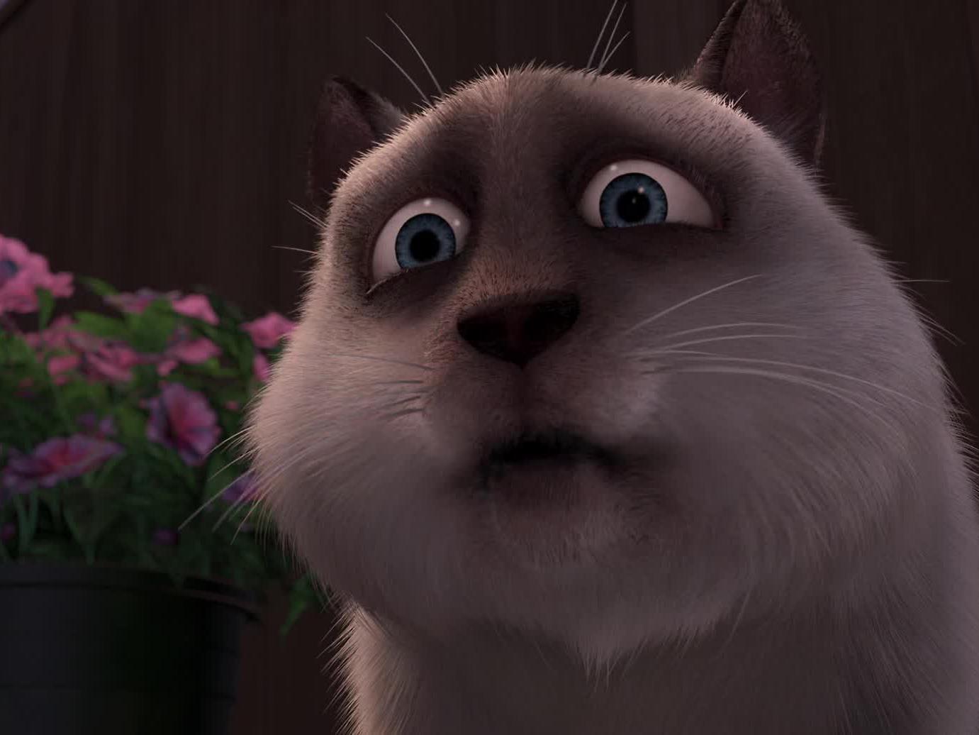 Over The Hedge Stella Over The Hedge over-the-hedge-stella-over-the-hedge