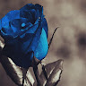 dzdenson7880 avatar