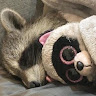 sarackyeuniceforte avatar