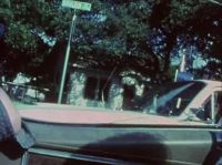 ��♪ ['50s Rock]