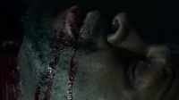 A wolf