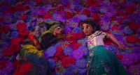 What is going onAbuelaIt's okay Everything'sWe're gonna save the miracle The magicWhat are you talking aboutLook at our home Look at your sisterPlease just Isabela wasn't happyOf course she isn't