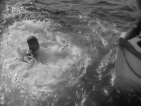 Action stations! Prepare to dive!
