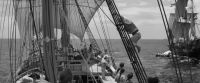 All hands on deck
