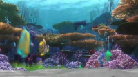 Nemo all new explorers must answer a science questionOK You live in what kind of homeAn anemon noneA nemenem menomeOK don't hurt yourself Welcome aboard explorers
