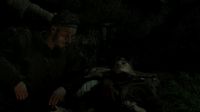 And what does a man doHe fightsAndHe looks after his family