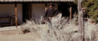 Any man found looting