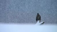 As winter advances