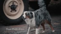 (barking)