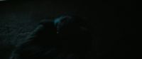 [bat squeaking] -[gasps]