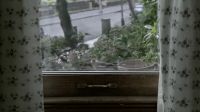 (BIRD TWEETING)