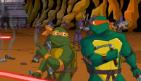 Blasted turtles