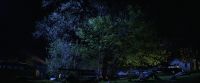 Blue moon