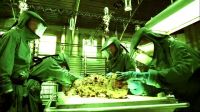 BONES Episode 4x16 