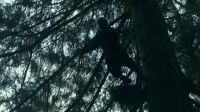 [branch rustles]