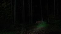 Buh-bye, Bambi