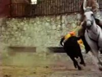 (bull grunting)