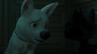 But what do dogs do
