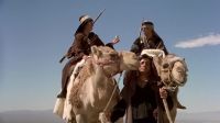 Camel