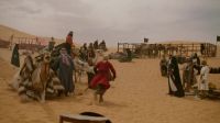 (CAMELS BELLOWING)