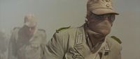 Captain