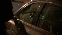 (car chirps)