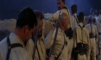 Ceasefire! Ceasefire!