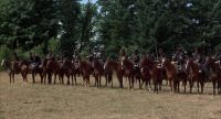 Charge!