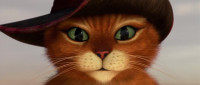 Chupacabra ChupacabraChupacabra You are crazy woman