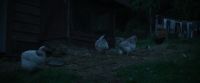(Clucking)