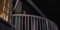Come down. - You're crazy