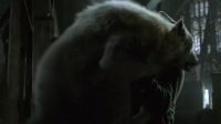 (cord snapping) (roaring)