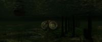 Cowering down here in sludge