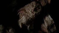 [Crow caws]