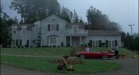 Cujo!