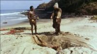 Dig!