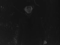 Do dead men walk?