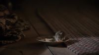 Do you like being a mouse, Jenkins?
