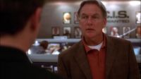 Do you think DiNozzo