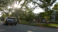 Dodee: Slow down, slow down