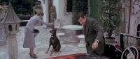 Does he bite? - Oh!