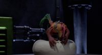 D'oh Get itDough l'm stuck