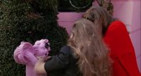 Don't you choke my cherub