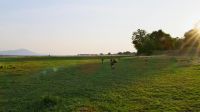 Down here on the floodplain