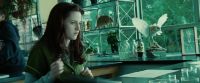 EDWARD: There must be something open
