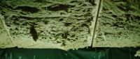 [electrical buzzing]