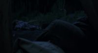 Ennis! - What?