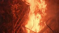 [FIRE CRACKLING]