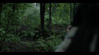 [firing]