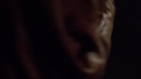 [Flies buzzing]
